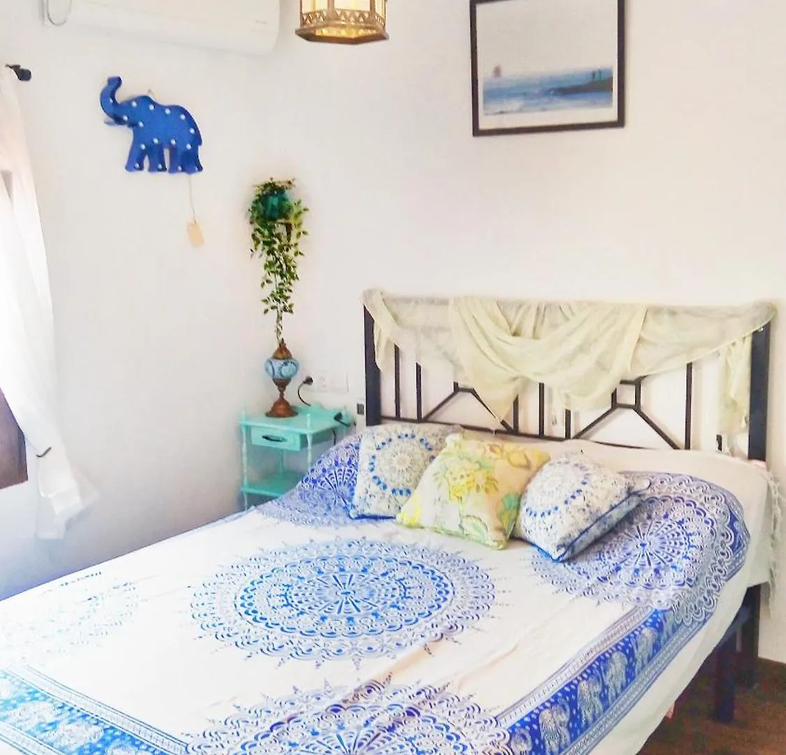 Homestay Bright Rooms With Ac And Rooftop Terrace In The Heart Of Cadiz
